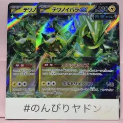 テツノイバラex RR 2枚　pch702