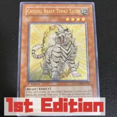 レリーフ 遊戯王OCG デュエルモンスターズ(外国語版)