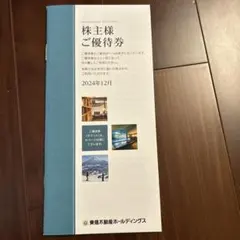 東急不動産ホールディングス　株主様ご優待券