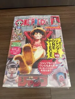新品未開封　ワンピース　マガジン　ONE PIECE カード付き