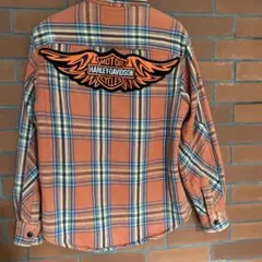 Item thumbnail for item 5062aa19-2966-46ee-868a-81a0c25d636d