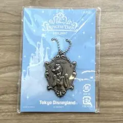 【非売品】【未開封】ディズニーランド プリンセスデイズ シンデレラ キーチェーン