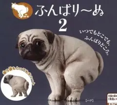 ガチャ カプセルトイ