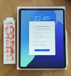 極美品 iPad Air13 M2 256GB Wi-Fi PencilPro付