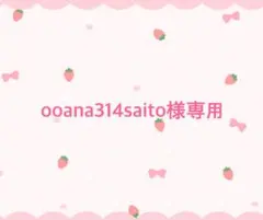 ooana314saito様 リクエスト 2点 まとめ商品