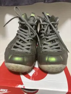 Nike Foamposite グレー/グリーン　ポジットワン