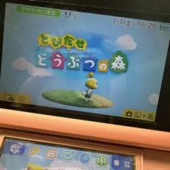 とびだせ どうぶつの森 Nintendo 3DS