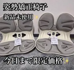 2セット 姿勢矯正椅子 カーブルチェア 骨盤サポート 腰痛対策 骨盤矯正