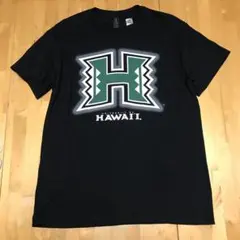 限定値下げ HAWAIIAN6 Tシャツ XLサイズ 新品未着用 - メルカリ