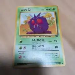 ポケモンカード コンパン 旧裏面