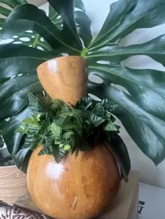 Item thumbnail for item a1cd73ba-464d-4e0b-be52-399b0a2a9d2c