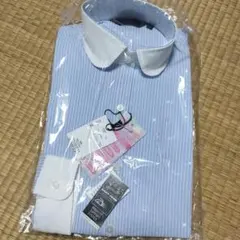 Item thumbnail for item 91acba15-fa35-4320-b80f-16e056111eaf