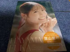 Item thumbnail for item 3a0af933-ab13-45bf-a207-9ffa3f7516ec