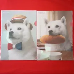 Item thumbnail for item a8f3b6f5-44f5-462a-85d8-caa9b102f5ea