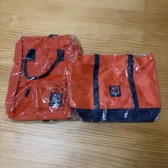 Item thumbnail for item 0820483e-efe5-4d1b-9279-eba9fcb93884