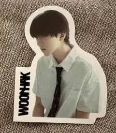 BOYNEXTDOOR The Action ウナク ステッカー