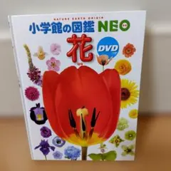 Item thumbnail for item 9aaa0dd1-ed26-41c1-9976-0498bebe9ae0