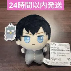 ハイキュー ちびぐるみ キャラクターグッズ