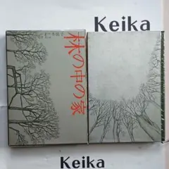 Item thumbnail for item cc874edc-6297-4ed9-995c-9d37f55d3fc5