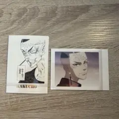 東京リベンジャーズ ぱしゃこれ 鶴蝶