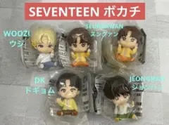 petiTEEN from SEVENTEEN プチティーン すわらせ隊 ボカチ