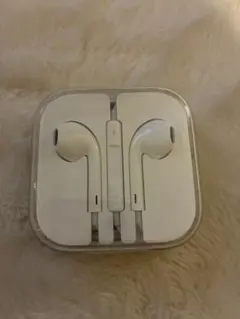 Apple 純正　有線イヤホン（ピンジャックタイプ）ケース付き　残りラスト1個！
