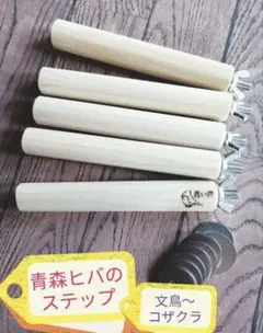 Item thumbnail for item d9ac1a2e-c4f8-46a7-9ff6-cc66cf1d76e9