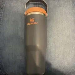 Item thumbnail for item 441c0cfd-7877-4483-9284-e74b66712f5b