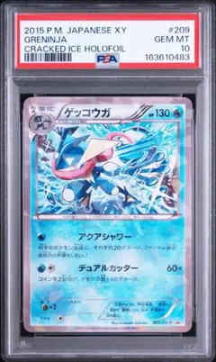 2026年最新】ゲッコウガ プロモ psa10の人気アイテム - メルカリ