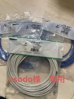 専用品　純正）パンドウイット カテゴリ6細径・通常径セット