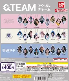 &TEAM アクリルチャーム　ガチャガチャ　K 五月雨
