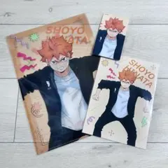 ハイキュー!! 喜怒哀楽 クリアファイル・A5ポストカード・大判カード 日向翔陽