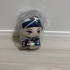 一番くじ　TinyTAN V賞　ぬいぐるみ 約20cm