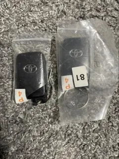 Item thumbnail for item 1941db5e-4df7-41b0-8909-72d37cf6ccef