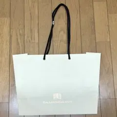 GALLARDAGALANTE ショップ袋のサムネイル