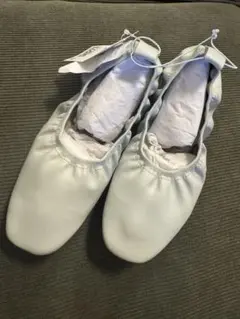 Item thumbnail for item 75d58134-b479-4ea7-a54b-dd7086039874