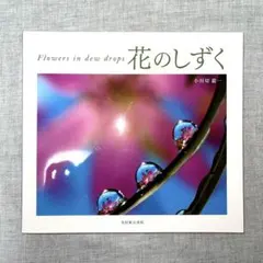 Item thumbnail for item 430e08e5-ab32-4ab8-8100-f528aac07167