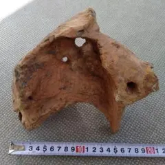 2026年最新】水槽用流木の人気アイテム - メルカリ