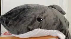 Item thumbnail for item eaf8833c-3eb4-47a7-81a7-2ad03b96c1ba