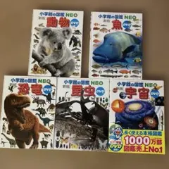 Item thumbnail for item 36eeeb8e-4209-41d1-a8b2-cfdd77fd5d92