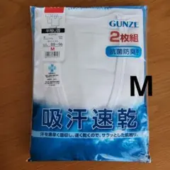グンゼ Tシャツ