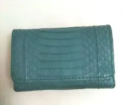 未使用 コインケース カード入れ 小銭入れ 名刺入れ グリーン系