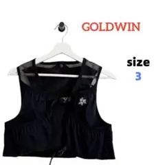 2026年最新】GOLDWiN ベストの人気アイテム - メルカリ