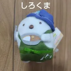 すみっコぐらし　てのりぬいぐるみ　L-Breath　ゼビオ限定　しろくま