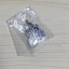 スーパー戦隊シリーズ めじるしアクセサリー