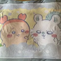 ちいかわ 超BIGマイヤーブランケット　モモンガと古本屋