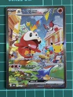 ポケモンカード ホゲータex SAR 30th