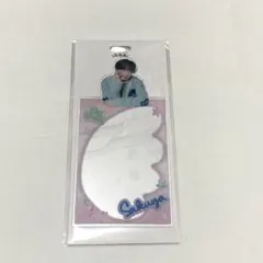 nctwish ランダムトイ　サクヤ