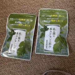 漢方セレクト 桑の葉&茶カテキンの恵み 120粒✖️2のサムネイル