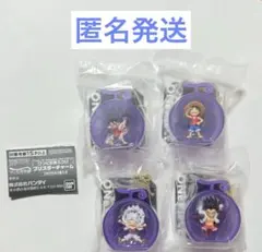 ワンピの実 ミクロ ブリスターチャーム